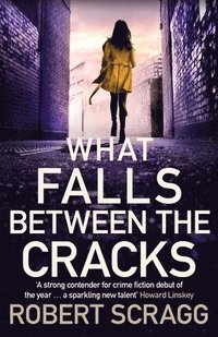bokomslag What Falls Between the Cracks
