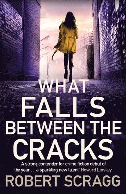 What Falls Between the Cracks 1