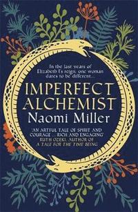 bokomslag Imperfect Alchemist