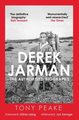 bokomslag Derek Jarman: The Authorised Biography