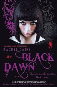 bokomslag Black Dawn