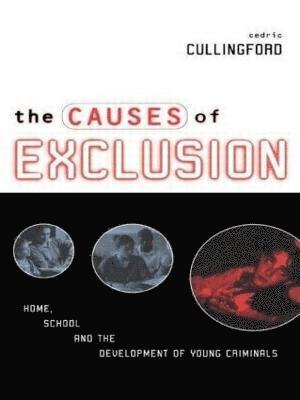 The Causes of Exclusion 1