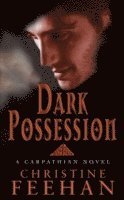 bokomslag Dark Possession
