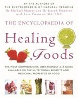 bokomslag The Encyclopaedia Of Healing Foods