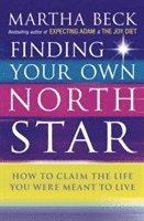 bokomslag Finding Your Own North Star