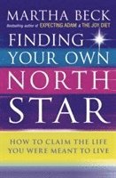 Finding Your Own North Star 1