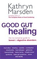 bokomslag Good Gut Healing