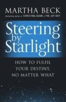 bokomslag Steering By Starlight
