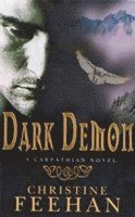 bokomslag Dark Demon