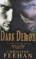 Christine Feehan - Dark Demon, Häftad