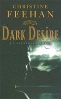 bokomslag Dark Desire