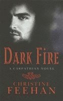 Dark Fire 1