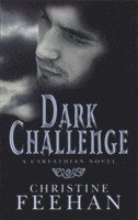 bokomslag Dark Challenge