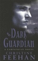 bokomslag Dark Guardian