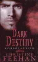 Dark Destiny 1