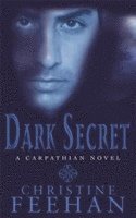 Christine Feehan - Dark Secret, Häftad