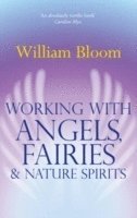 bokomslag Working With Angels, Fairies And Nature Spirits