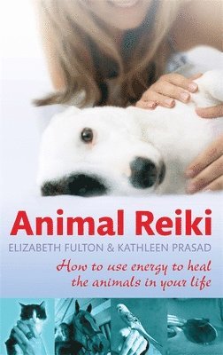 Animal Reiki 1