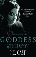 bokomslag Goddess Of Troy