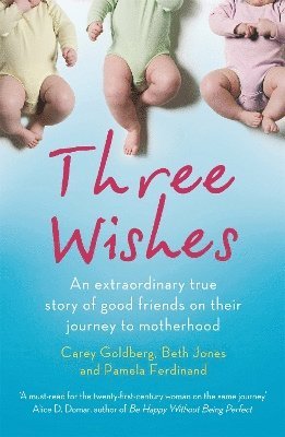 Carey Goldberg, Beth Jones, Pamela Ferdinand - Three Wishes, Häftad