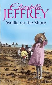 bokomslag Mollie On The Shore