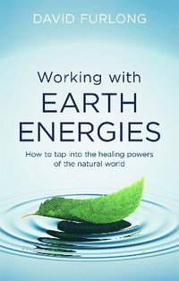 bokomslag Working With Earth Energies