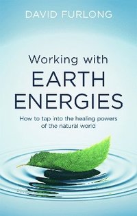 bokomslag Working With Earth Energies