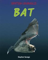 bokomslag British Animals: Bat