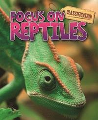 bokomslag Classification: Focus on: Reptiles