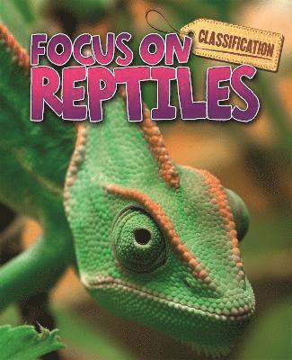 Classification: Focus on: Reptiles 1