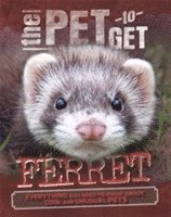 bokomslag The Pet to Get: Ferret