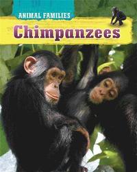 bokomslag Animal Families: Chimpanzees