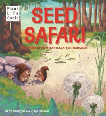 Plant Life: Seed Safari 1