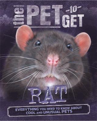 The Pet to Get: Rat 1