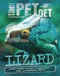 bokomslag The Pet to Get: Lizard