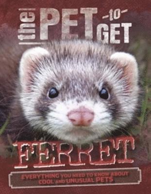 The Pet to Get: Ferret 1