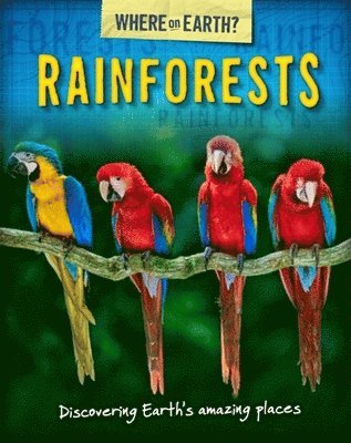 bokomslag Where on Earth? Book of: Rainforests
