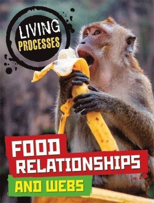 Carol Ballard - Living Processes: Food Relationships and Webs, Häftad