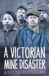 bokomslag Survivors: A Victorian Mine Disaster: A Young Boy's Story