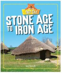bokomslag Fact Cat: History: Early Britons: Stone Age to Iron Age