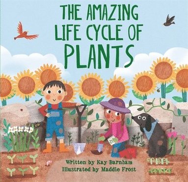 bokomslag Look and Wonder: The Amazing Plant Life Cycle Story