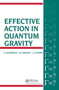 bokomslag Effective Action in Quantum Gravity