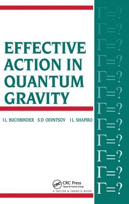 bokomslag Effective Action in Quantum Gravity