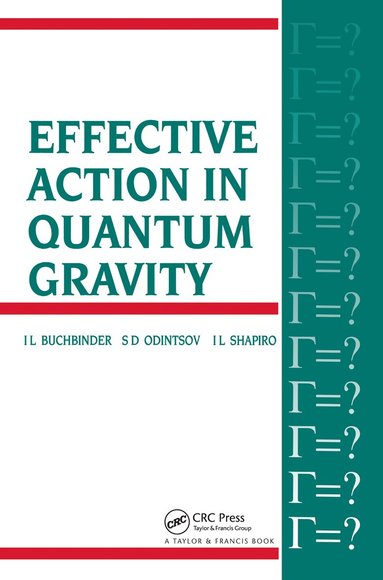 bokomslag Effective Action in Quantum Gravity