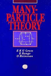 bokomslag Many-particle Theory