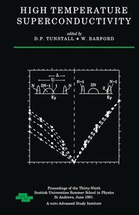 bokomslag High Temperature Superconductivity