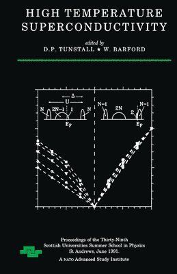 D.P Tunstall, D.W Barford, D. P. Tunstall, D. W. Barford, D. P Tunstall, D. W Barford - High Temperature Superconductivity, Inbunden