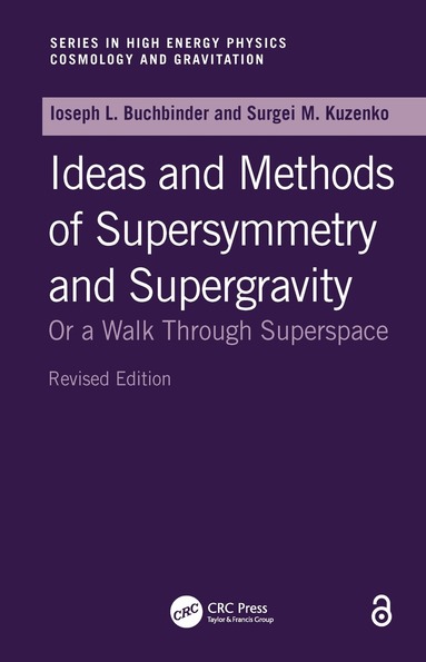 Sergio M. Kuzenko - Introduction to Supersymmetric Field Theory, Inbunden