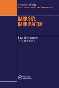 bokomslag Dark Sky, Dark Matter