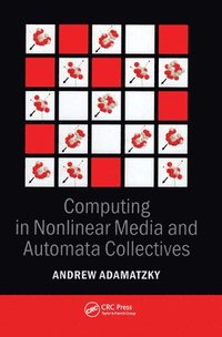 bokomslag Computing in Nonlinear Media and Automata Collectives